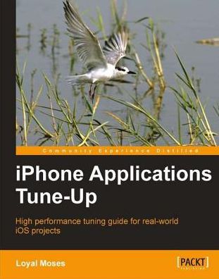iPhone Applications Tune-Up