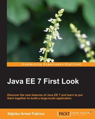 Java EE 7 First Look