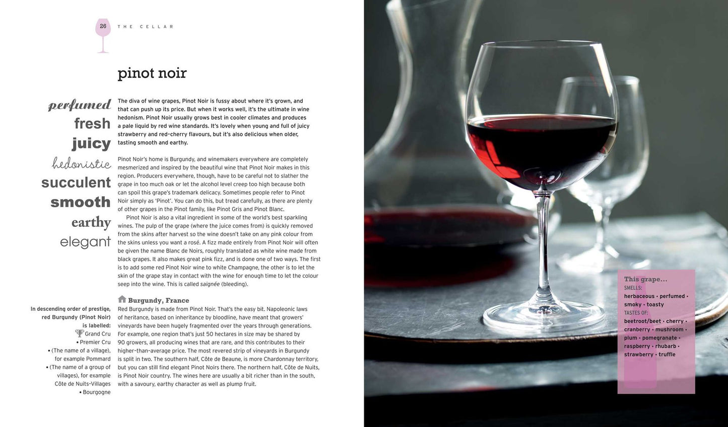 Wine & Food: Perfect pairings every time