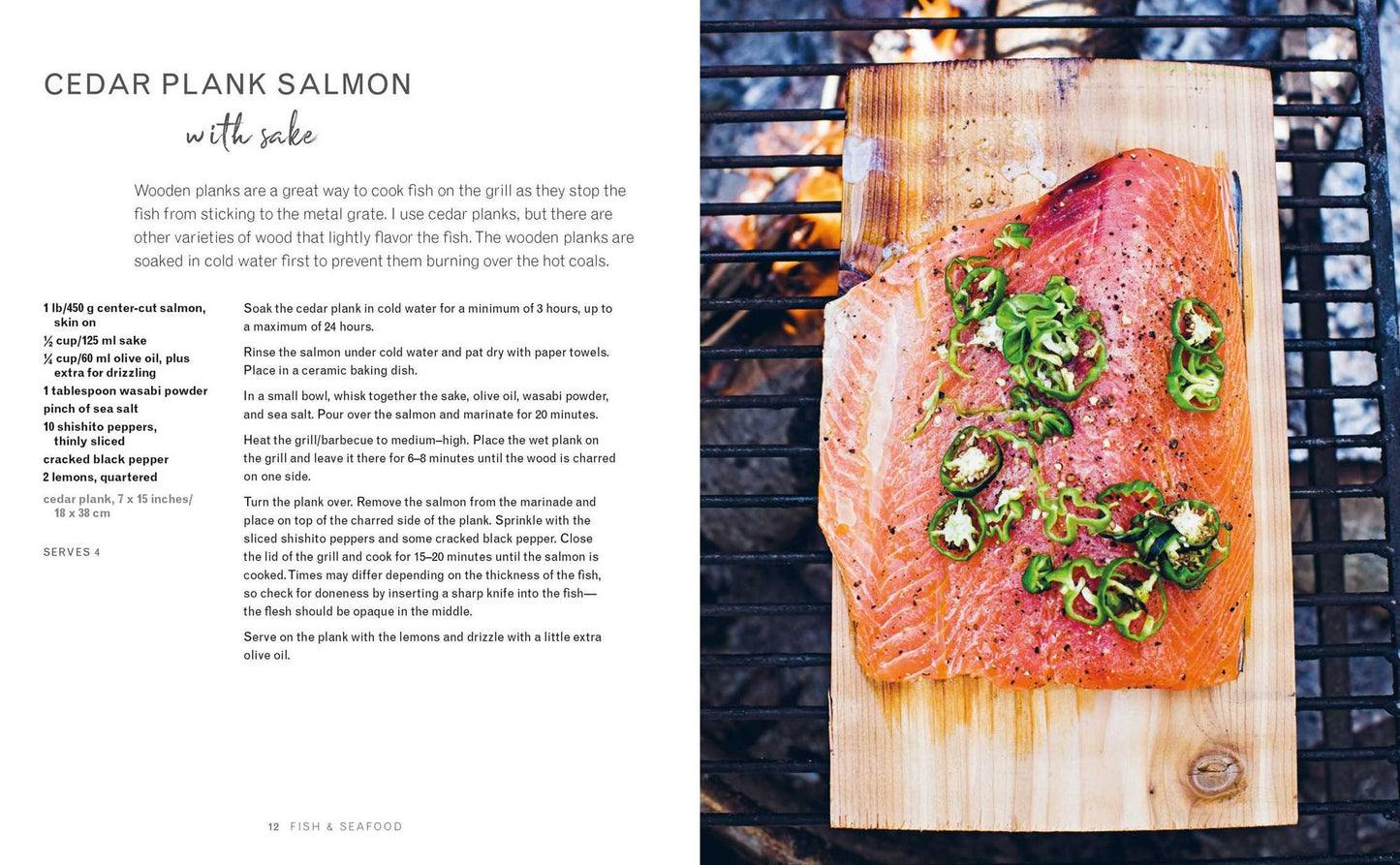 Feast from the Fire: 65 summer recipes to cook and share outdoors