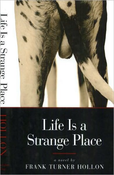 Life is a Strange Place: A Novel