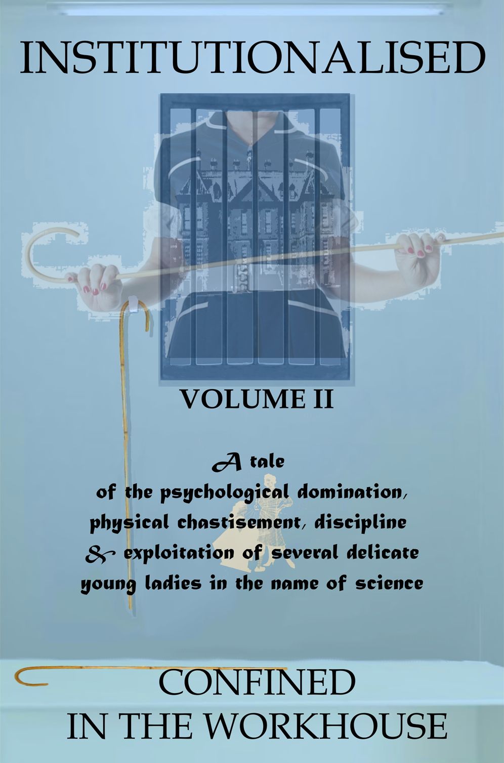Institutionalised - Volume 2: Confined in the Workhouse