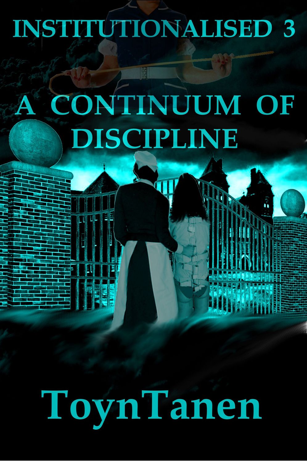 Institutionalised - Volume 3: A Continuum of Discipline