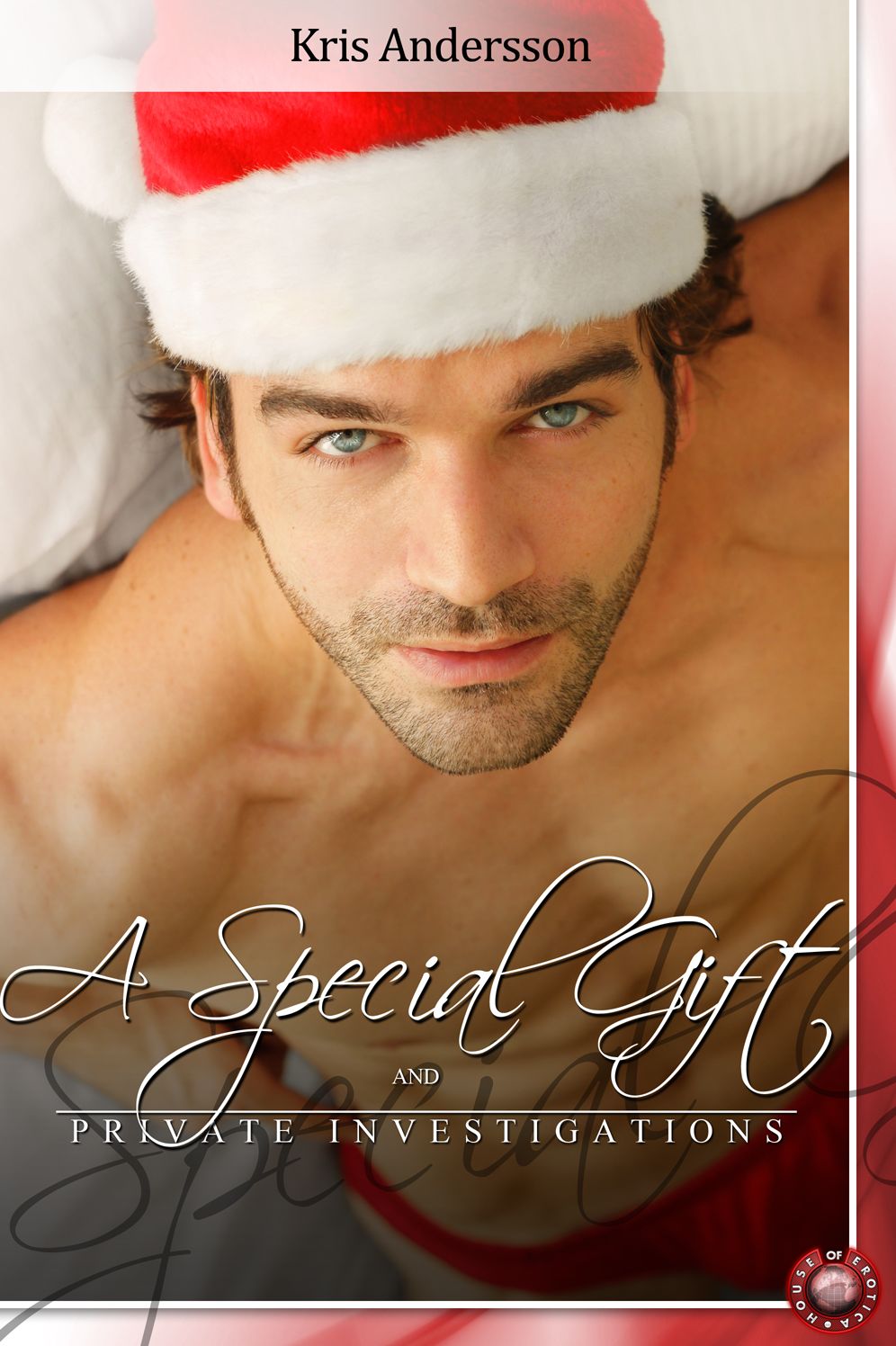 A Special Gift and Private Investigations: Things are Never What They Seem When Men Get Together