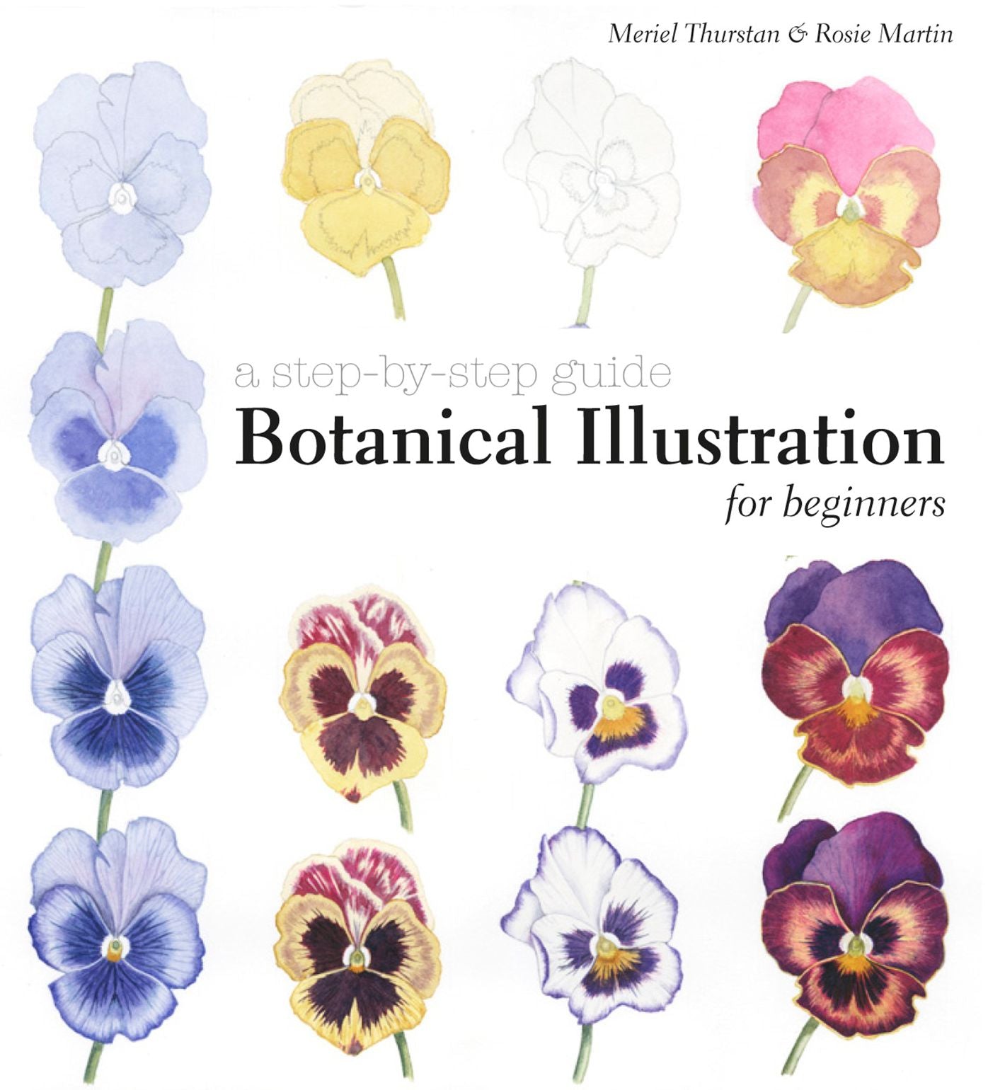 Botanical Illus for Beginners