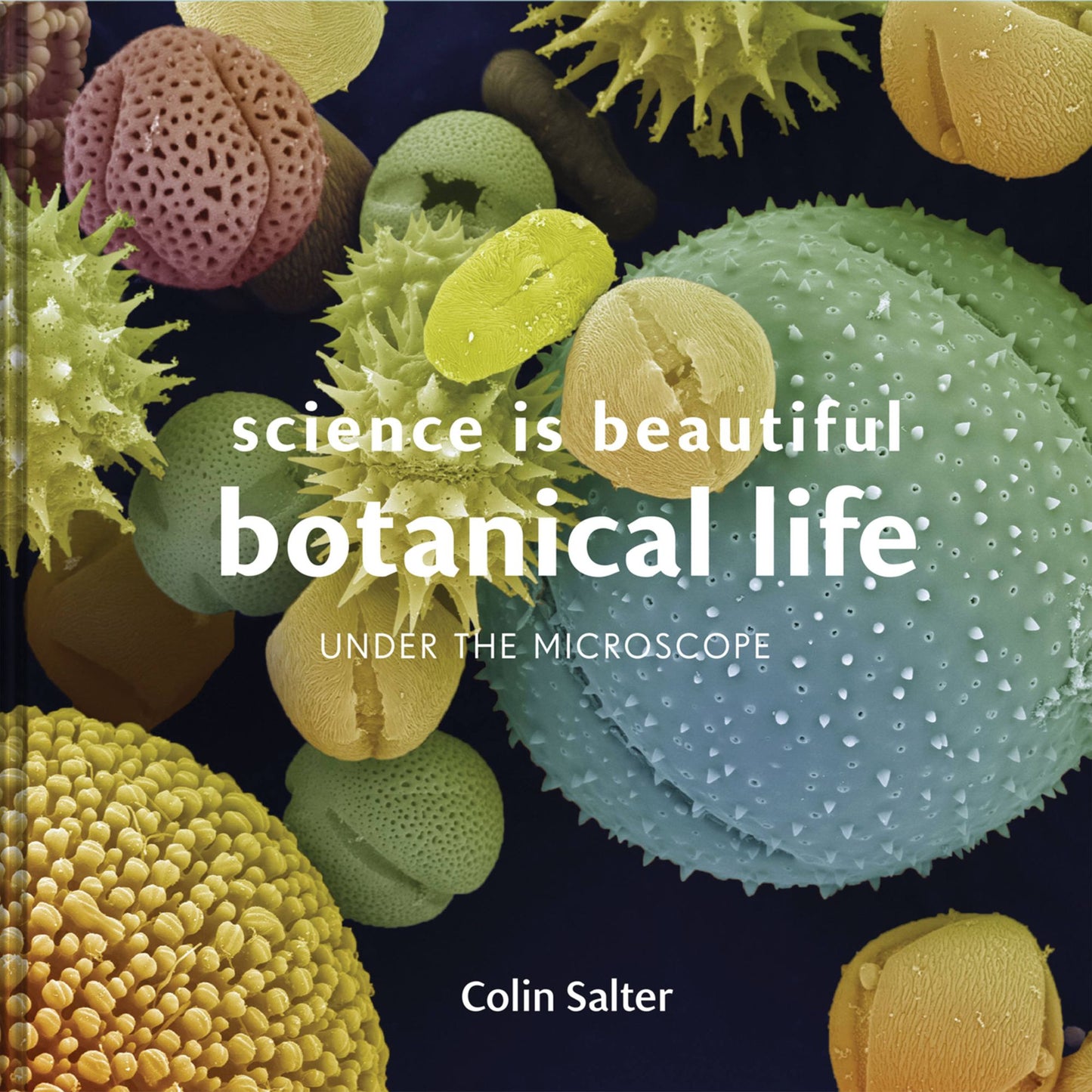 Science Is Beautiful: The Plant World: Under the Microscope