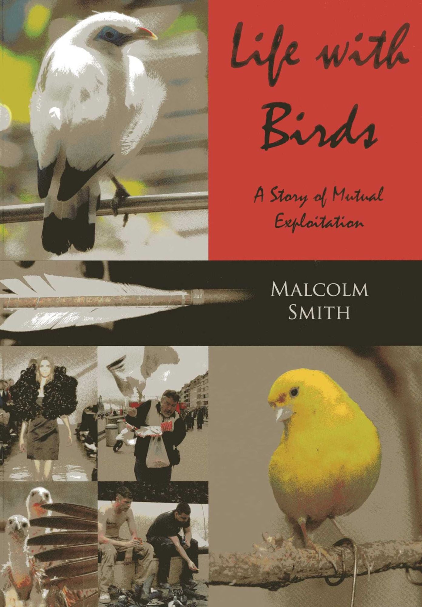 Life with Birds: A Story of Mutual Exploitation