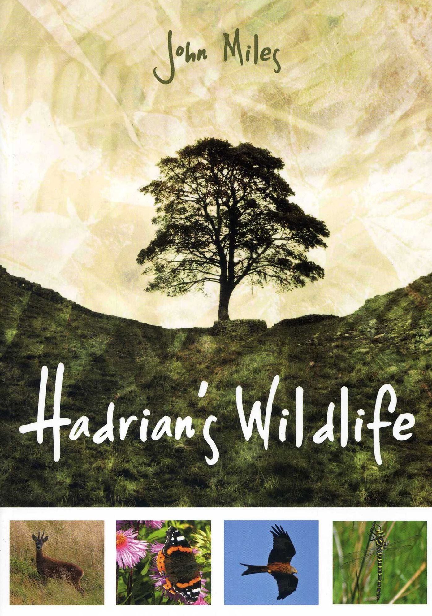 Hadrian's Wildlife