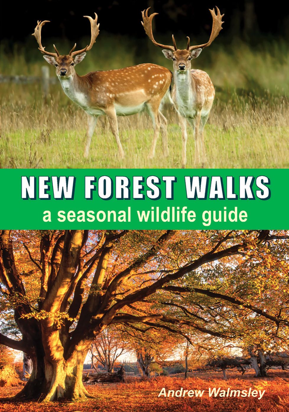 New Forest Walks: a seasonal wildlife guide