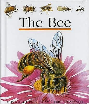 The Bee