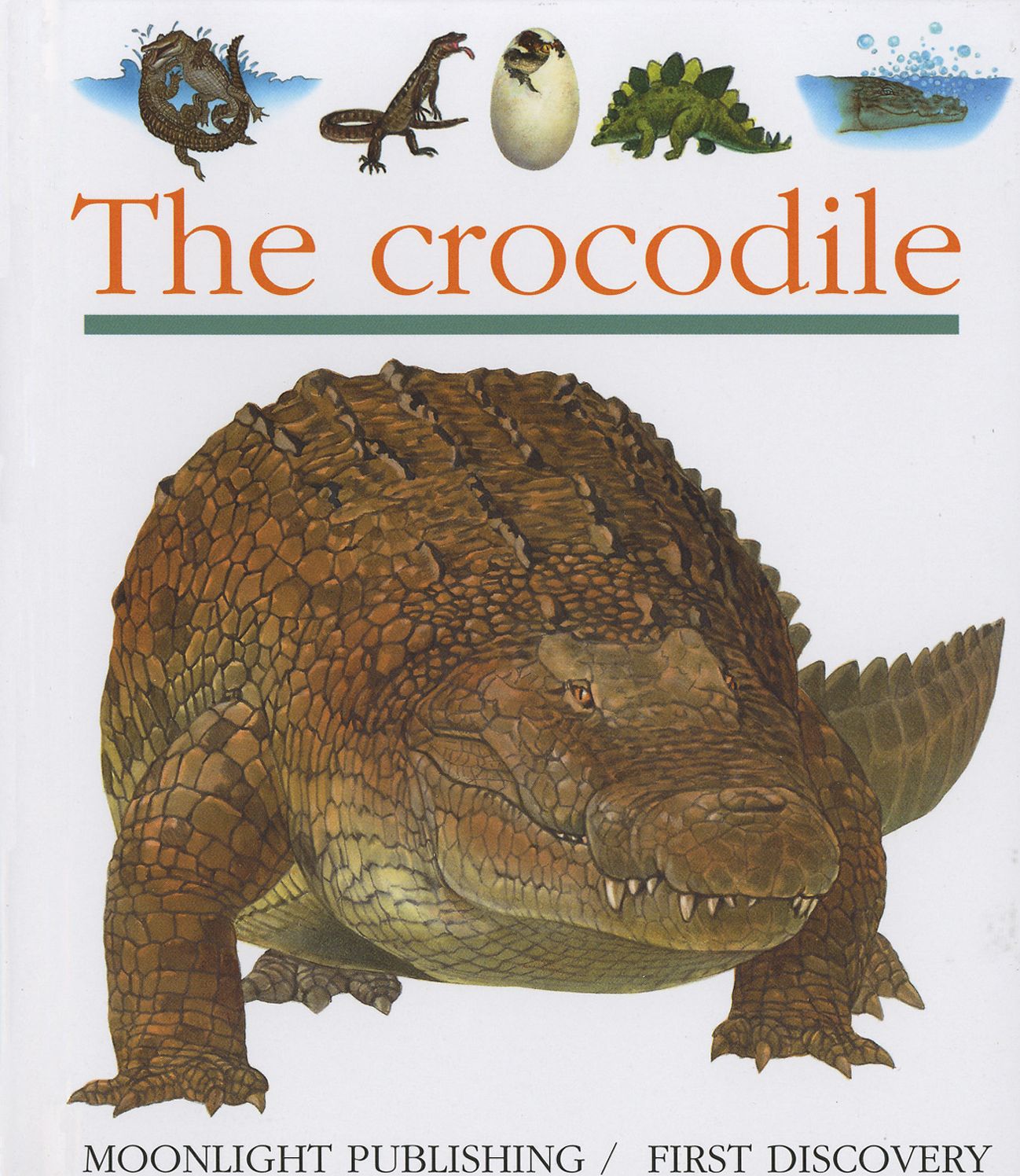 The Crocodile