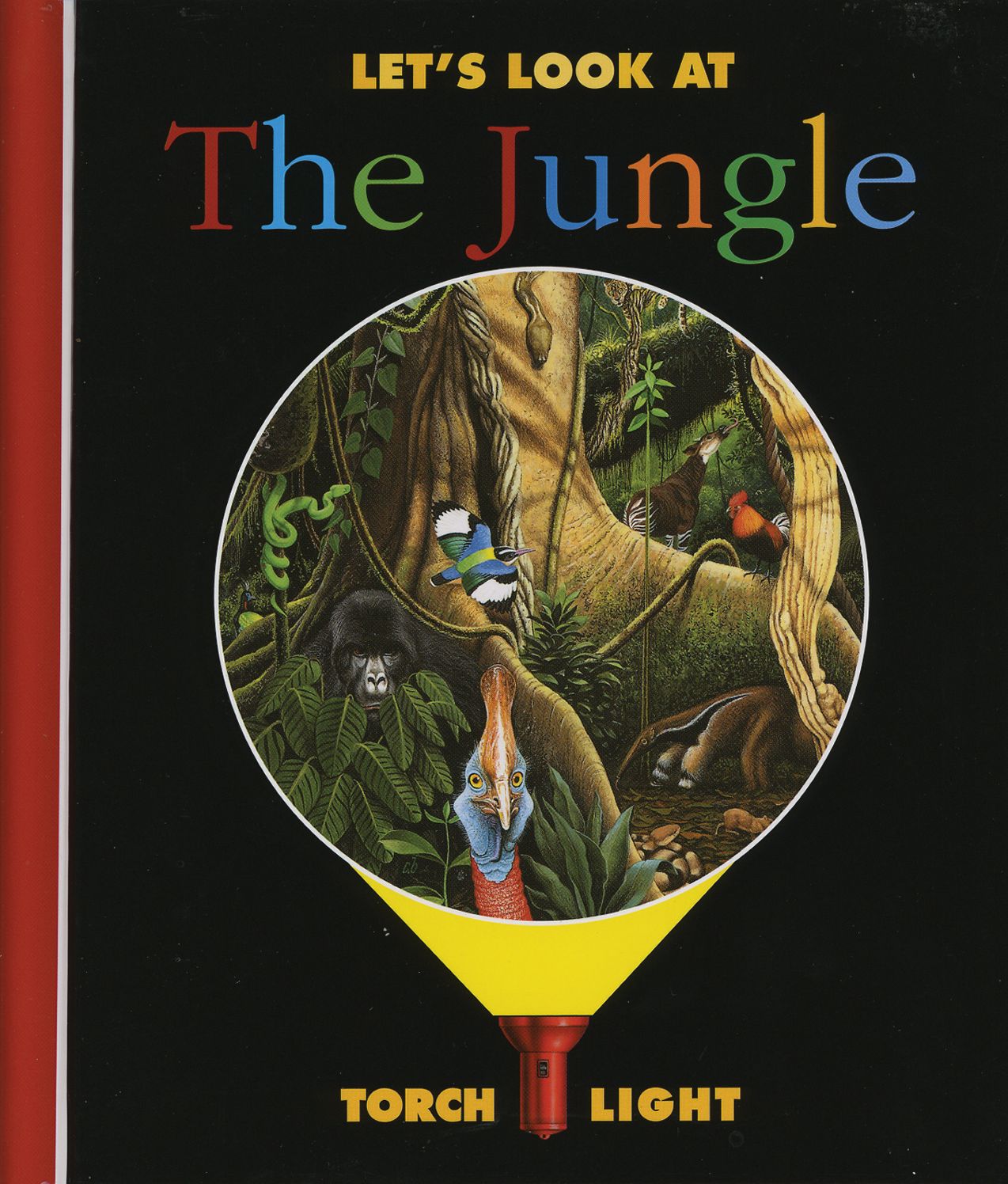 Let's Look at the Jungle