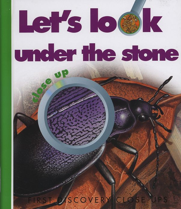 Let's Look Under the Stone
