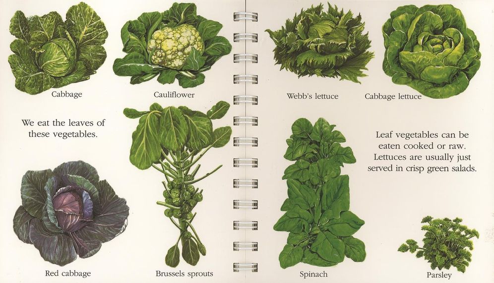 Vegetables