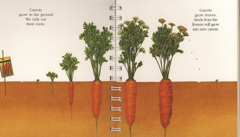 Vegetables