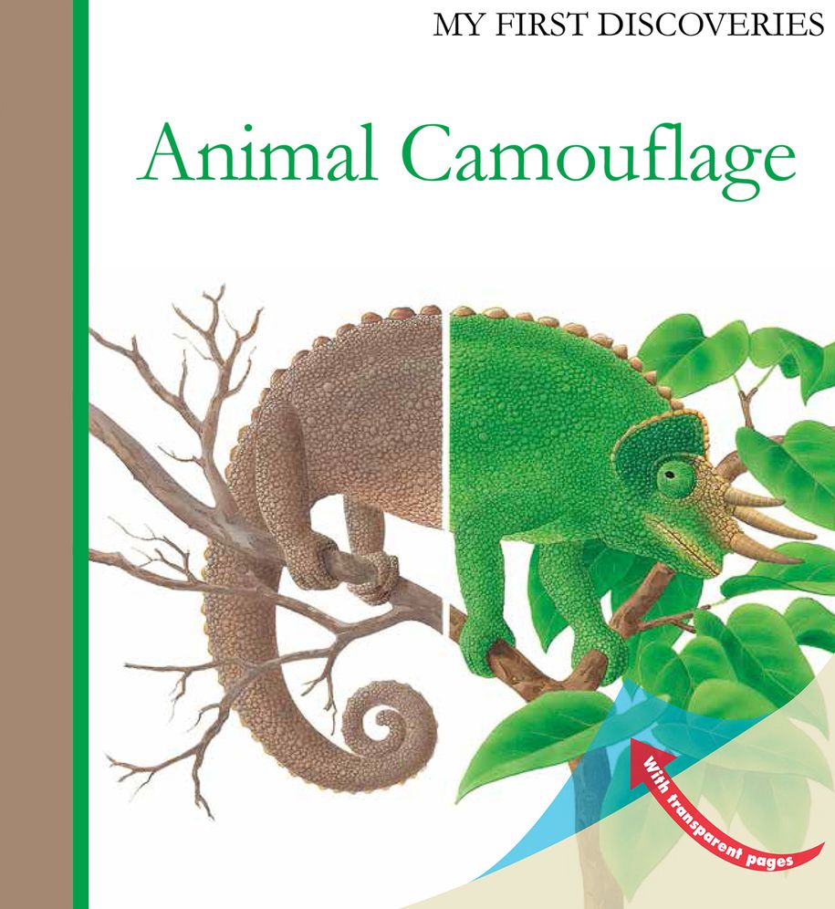 Animal Camouflage