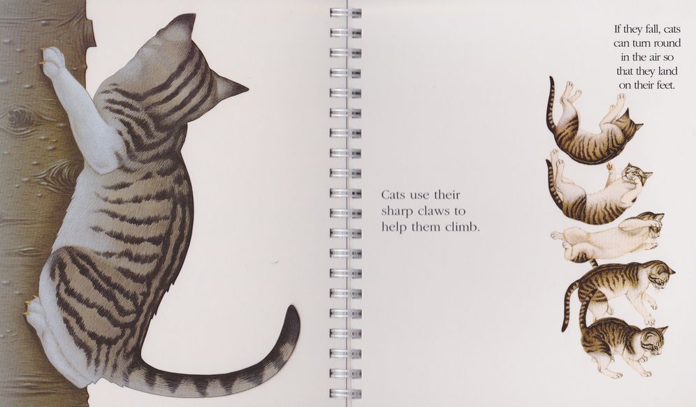 Cats