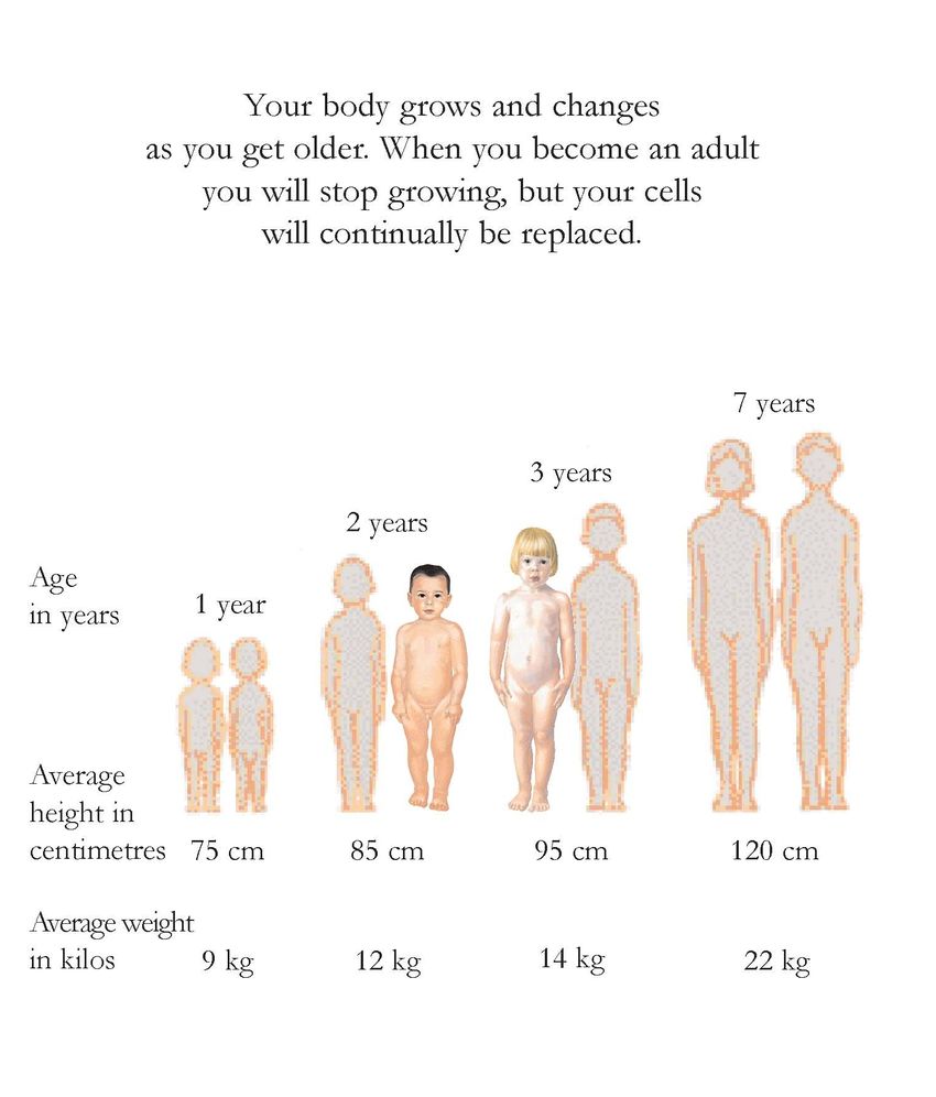 How the Body Works