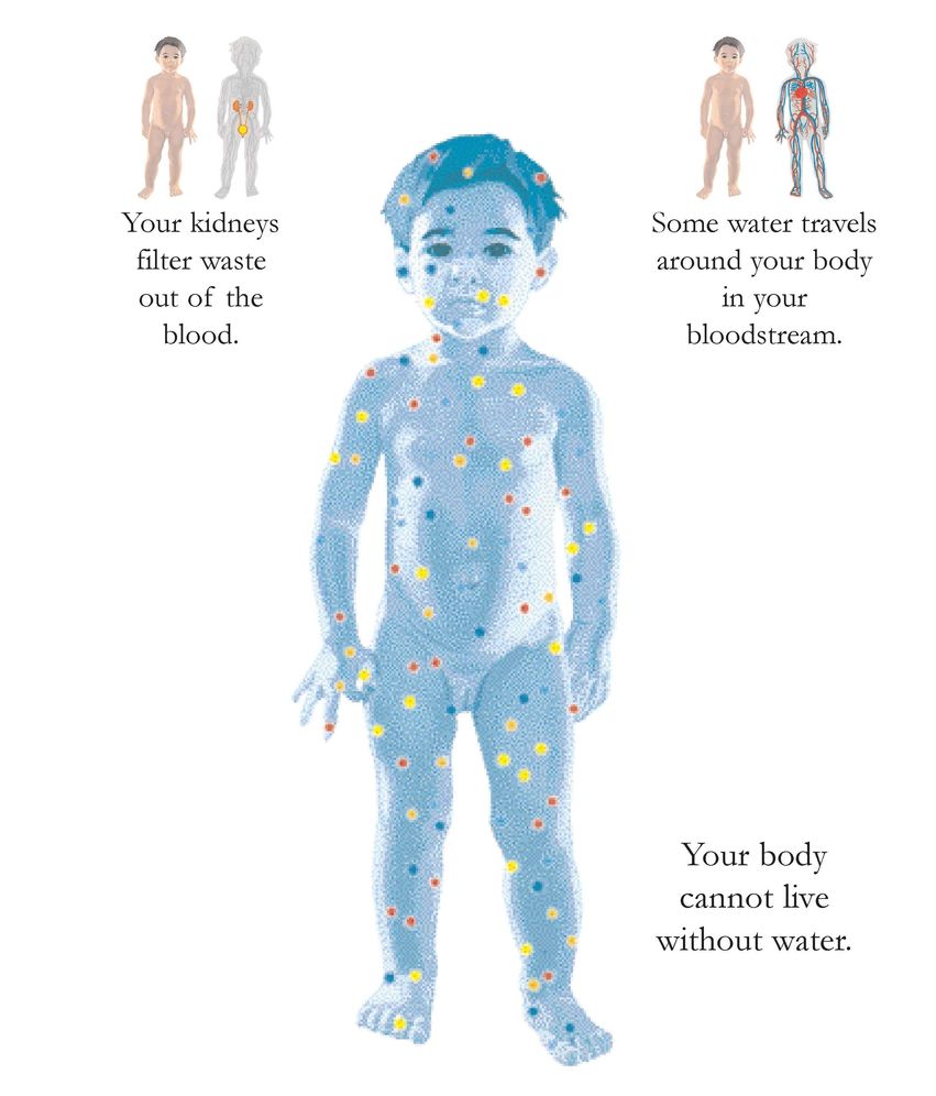 How the Body Works