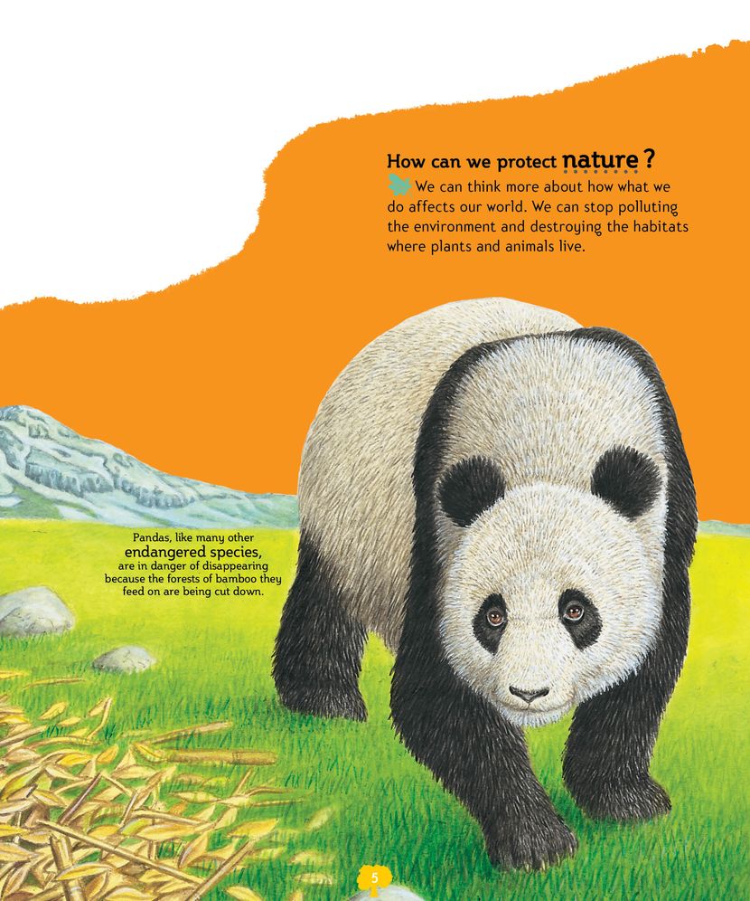 My First Encyclopedia of How?