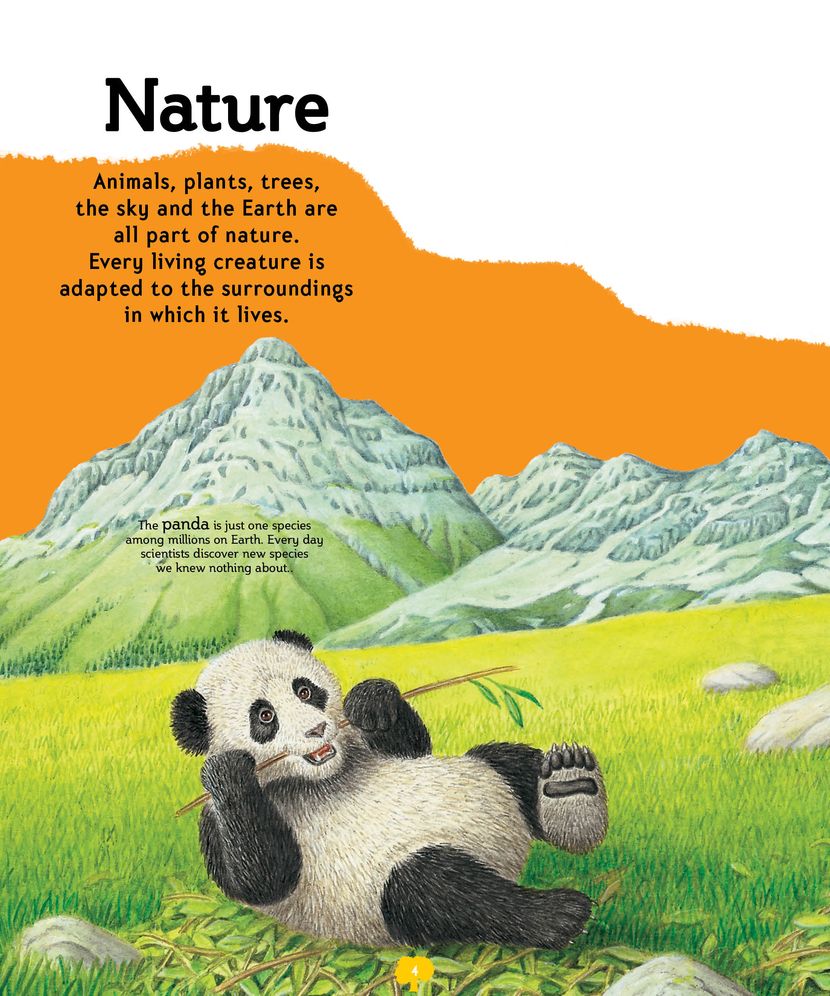 My First Encyclopedia of How?