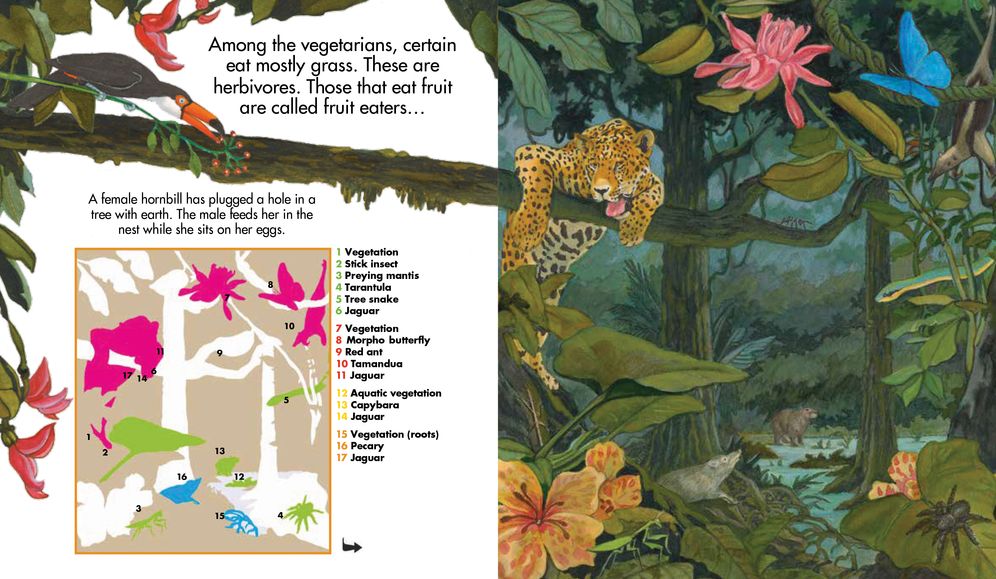 What Animals Eat
