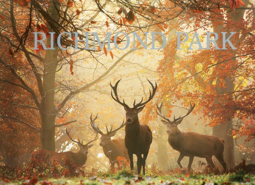Richmond Park