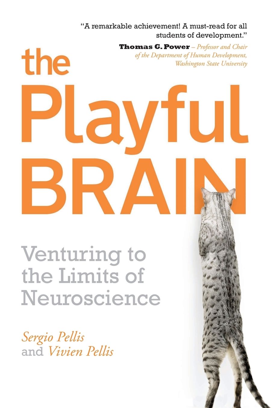 The Playful Brain: Venturing Limits of Neuroscience