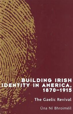 Building Irish Identity in America, 1870-1915
