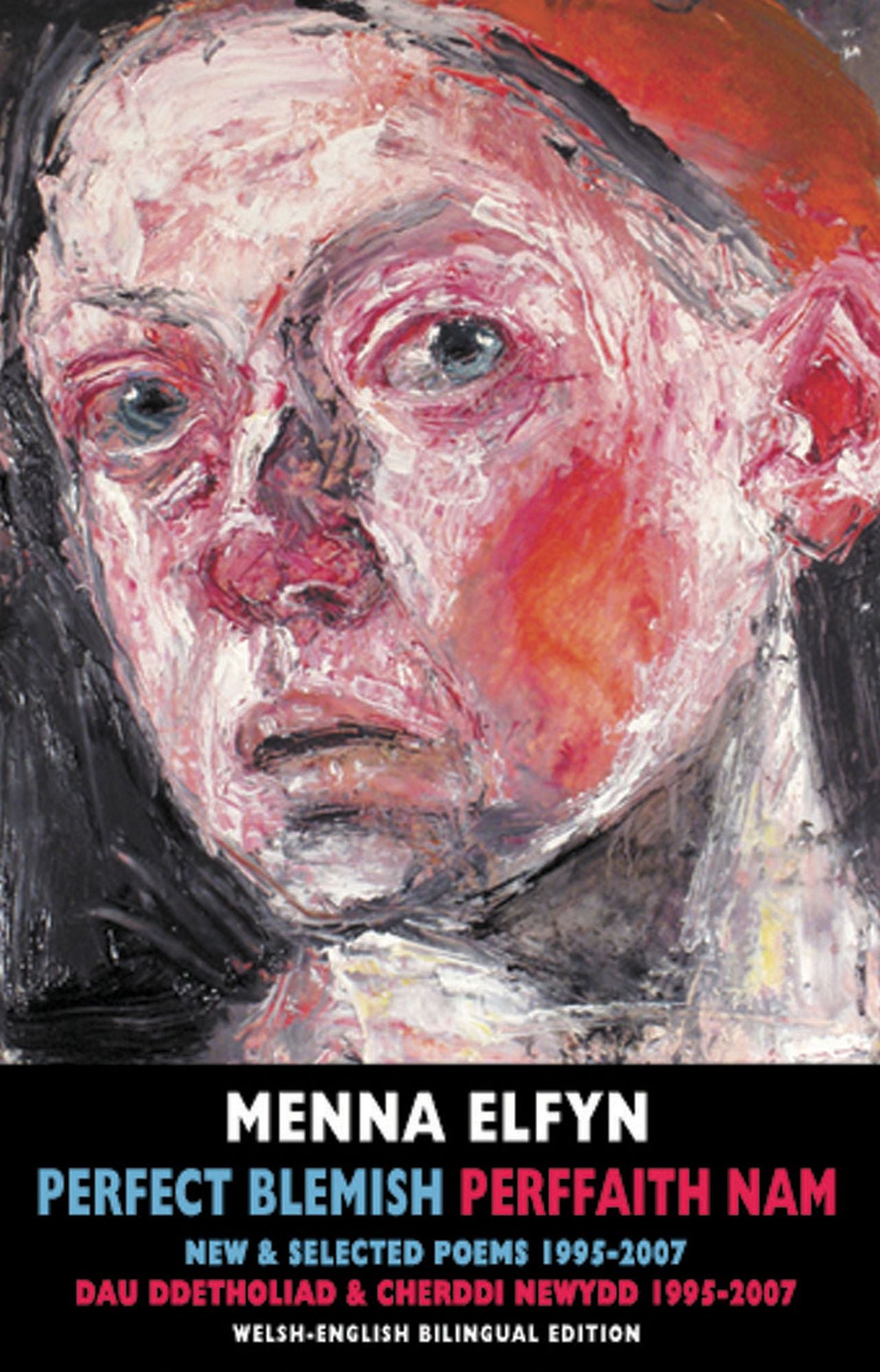 Perfect Blemish: New and Selected Poems 1995-2007