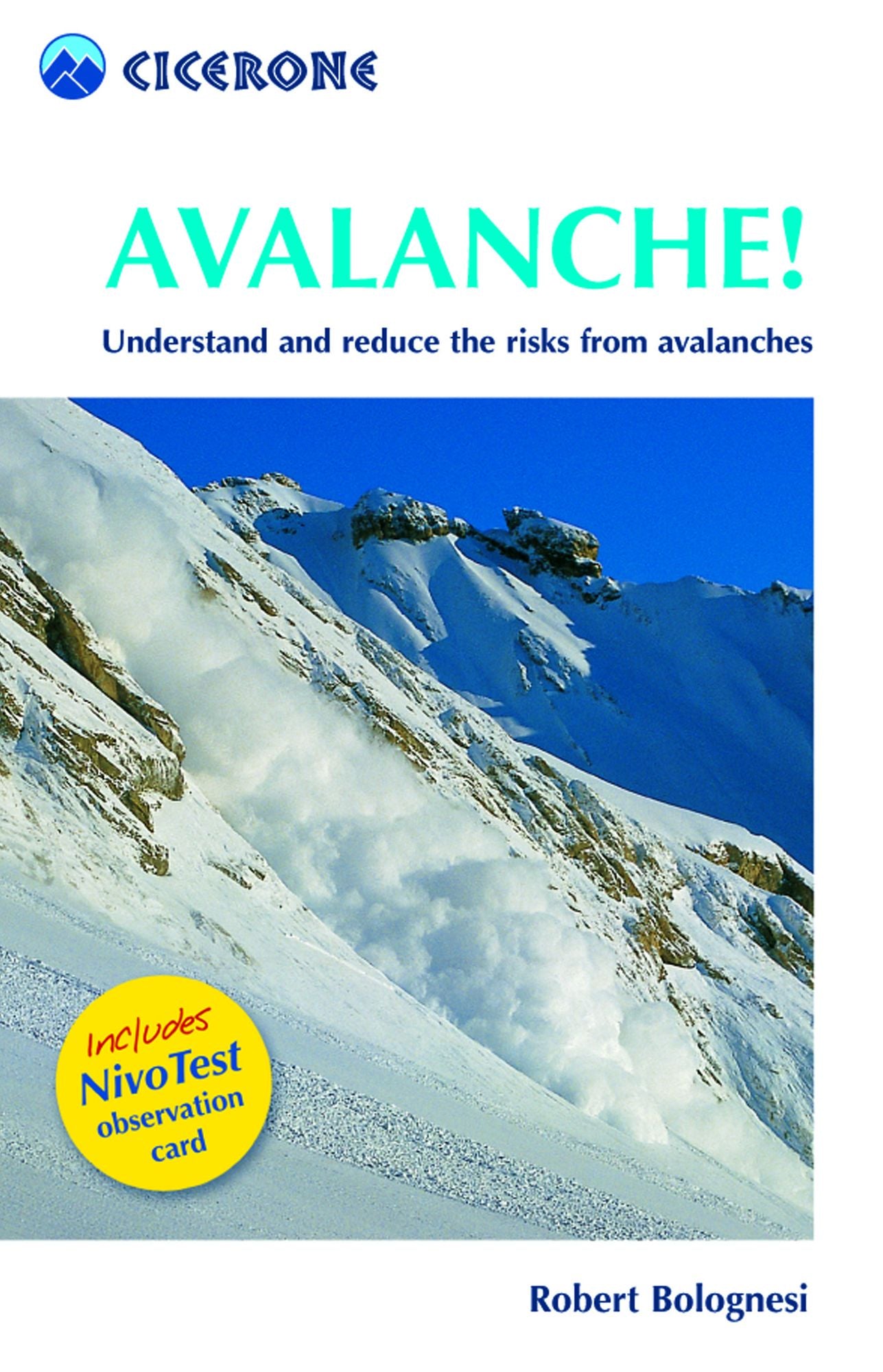 Avalanche!: Assess and reduce risks from Avalanches