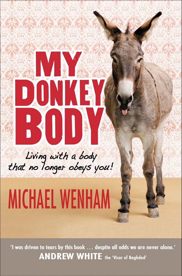 My Donkeybody