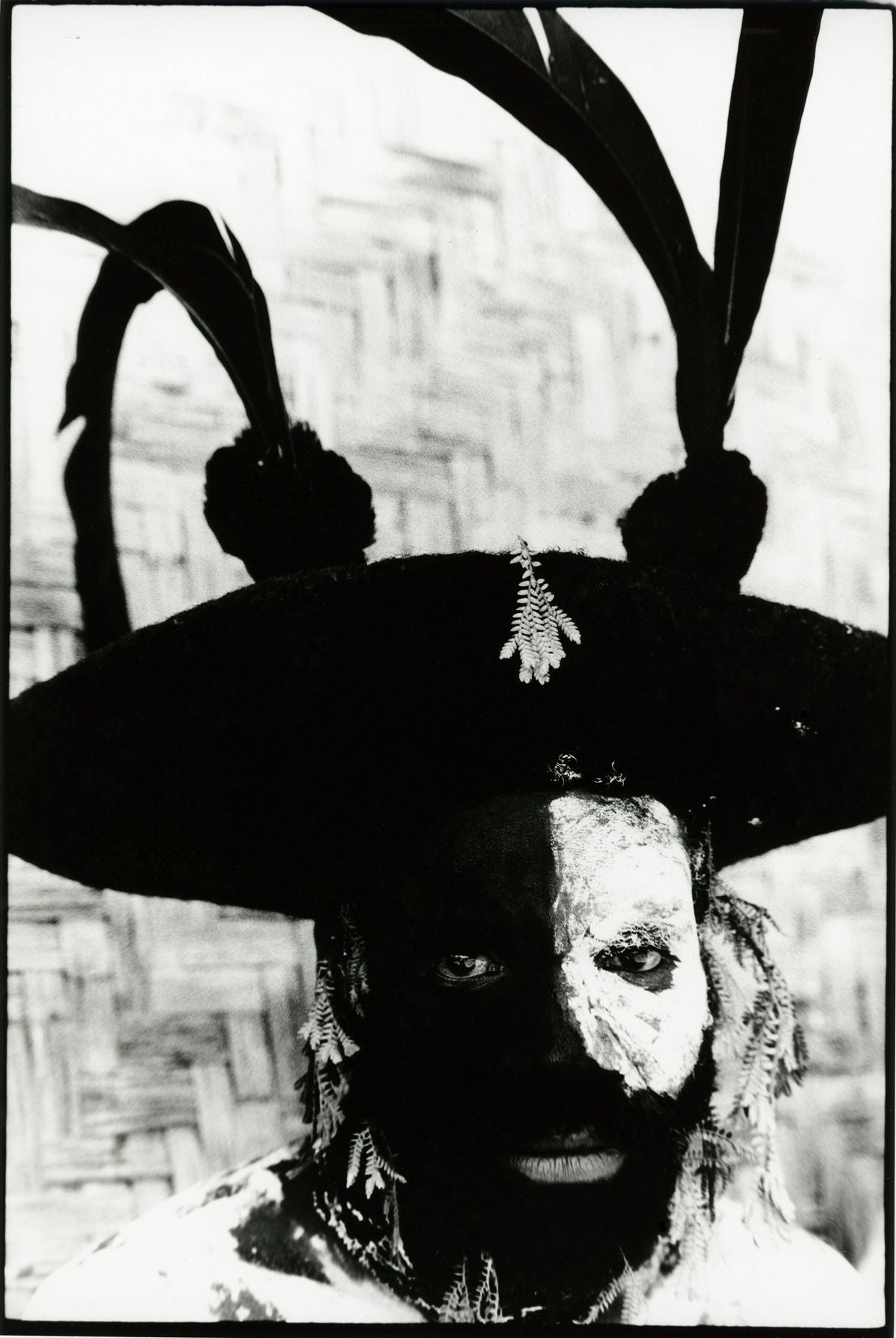 David Bailey: Bailey's Stardust