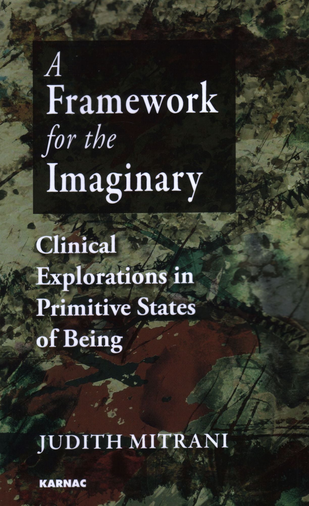 A Framework for the Imaginary: Clinical Explorations in Primitive States of Being