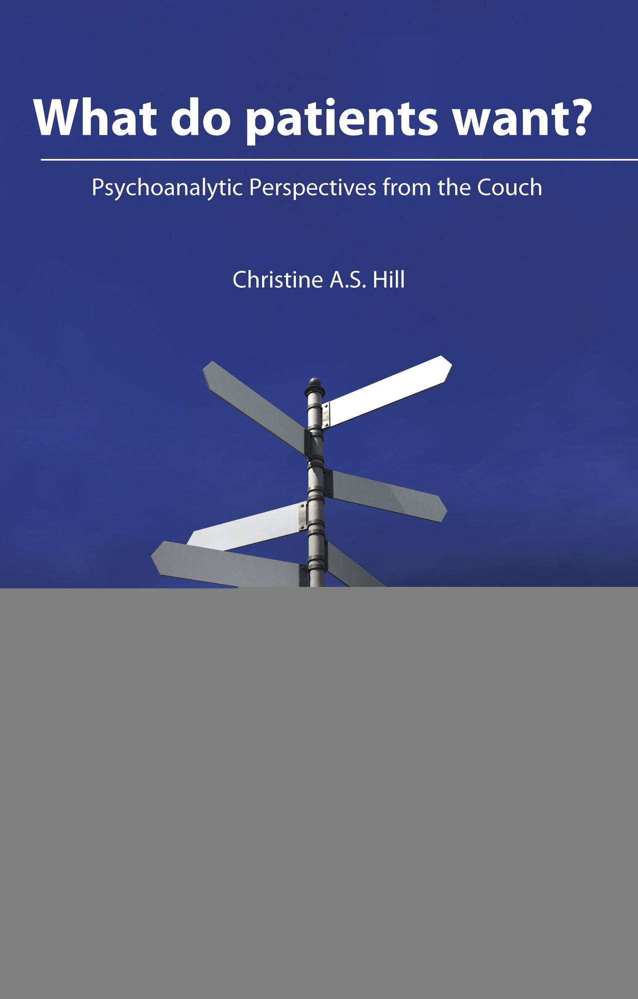 What Do Patients Want?: Psychoanalytic Perspectives from the Couch