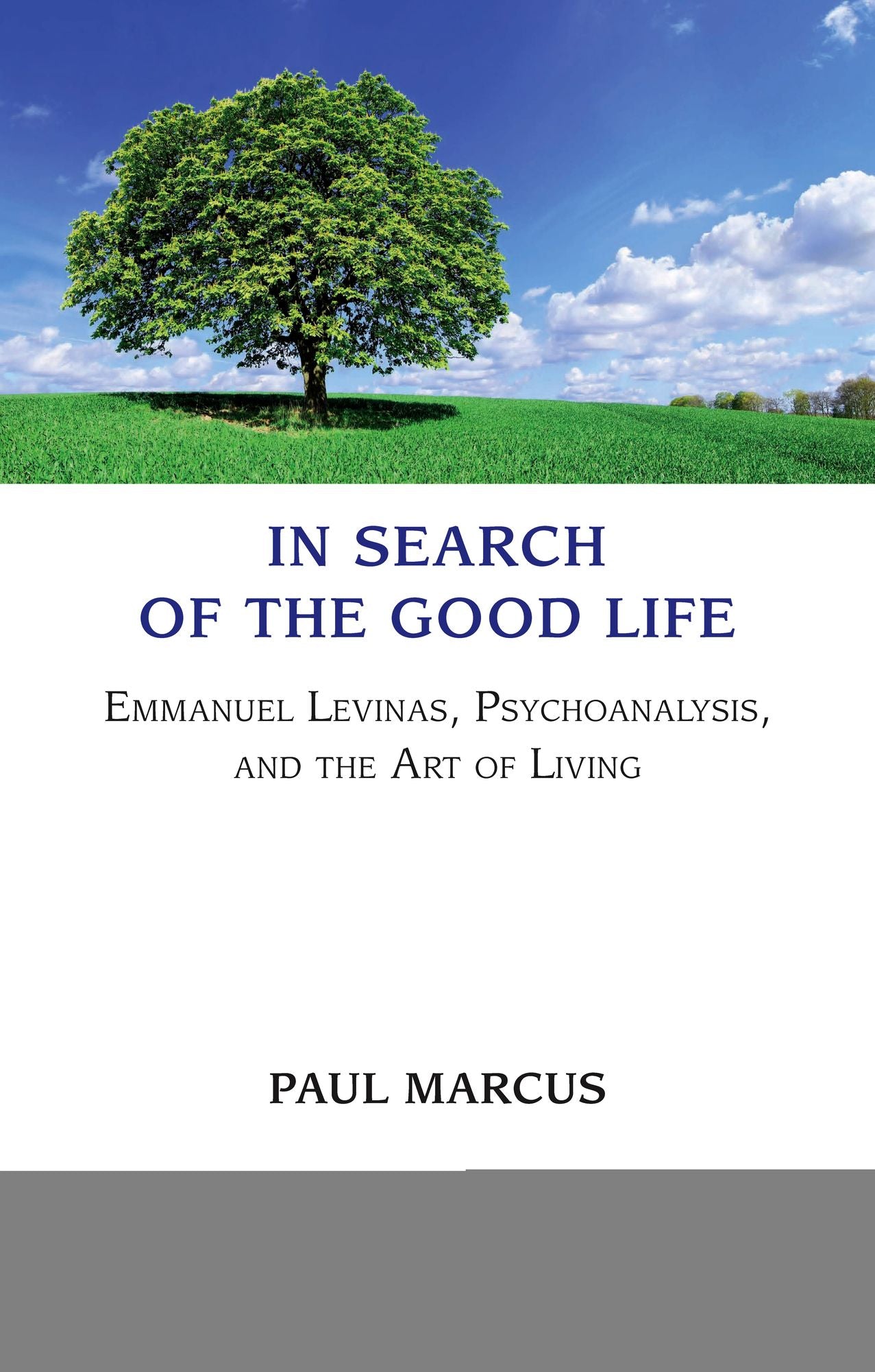 In Search of the Good Life: Emmanuel Levinas, Psychoanalysis and the Art of Living