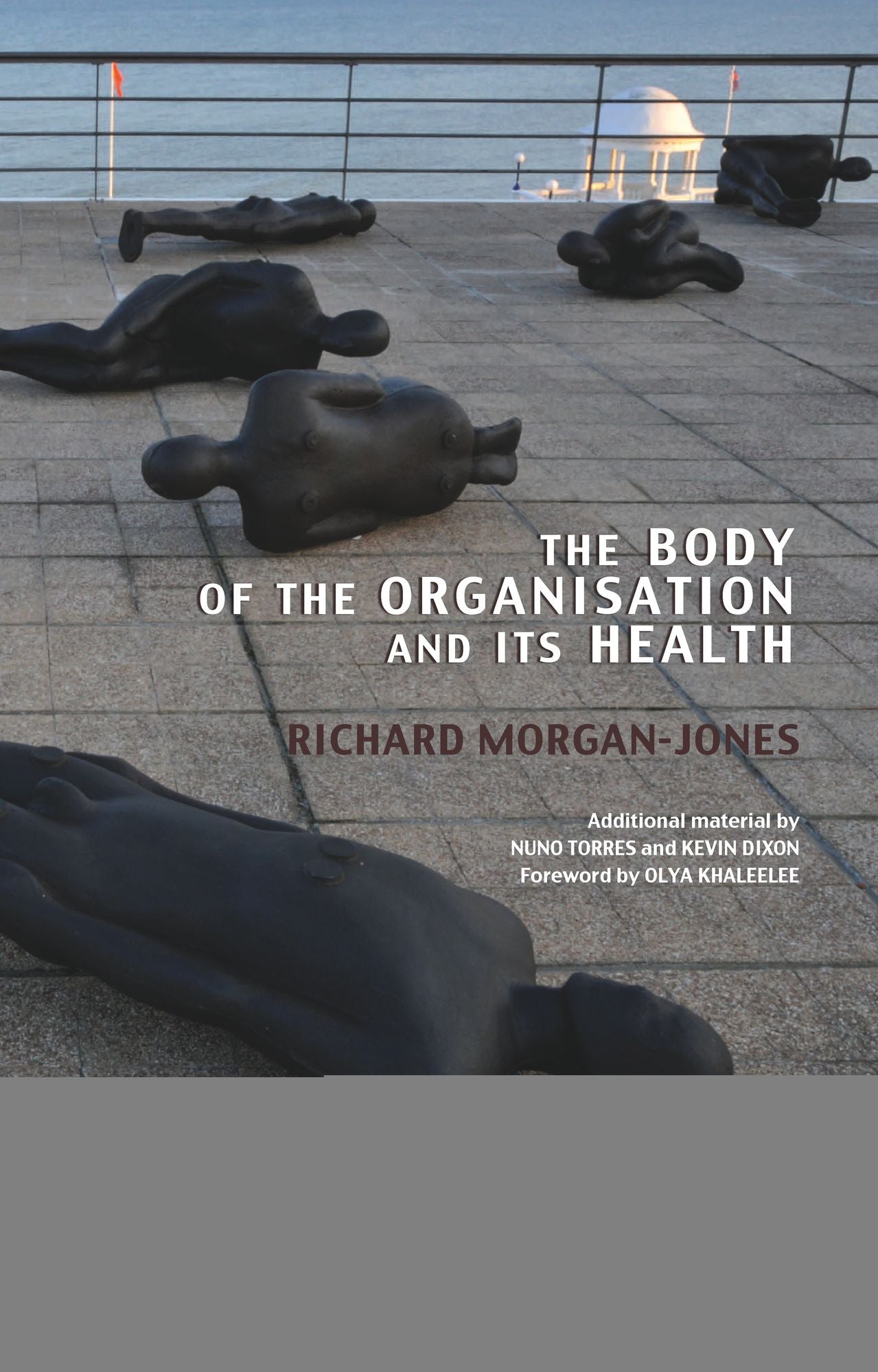 The Body of the Organisation and its Health