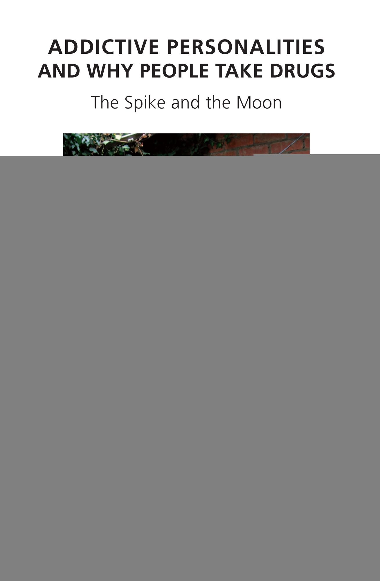 Addictive Personalities and Why People Take Drugs: The Spike and the Moon