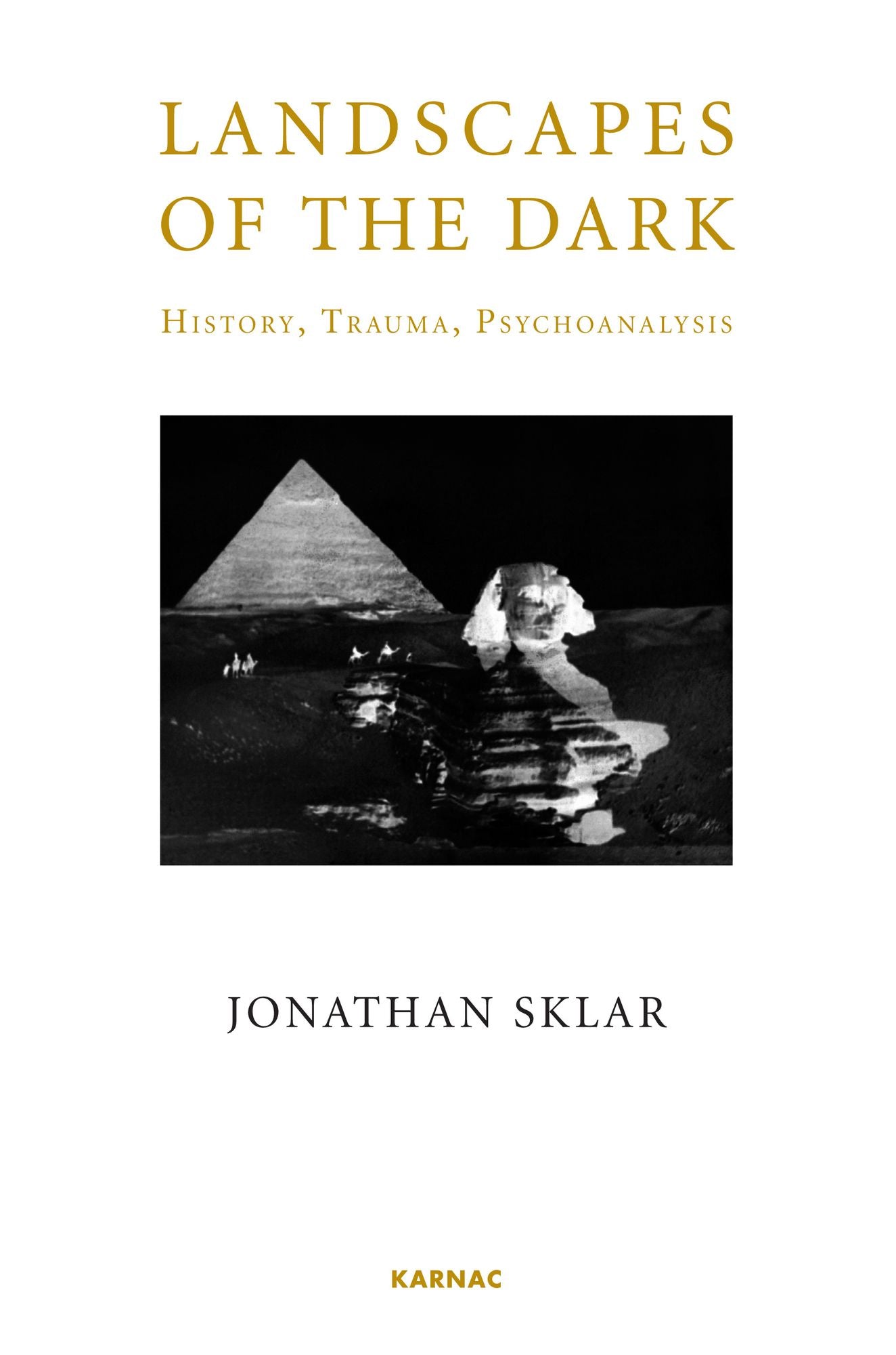 Landscapes of the Dark: History, Trauma and Psychoanalysis