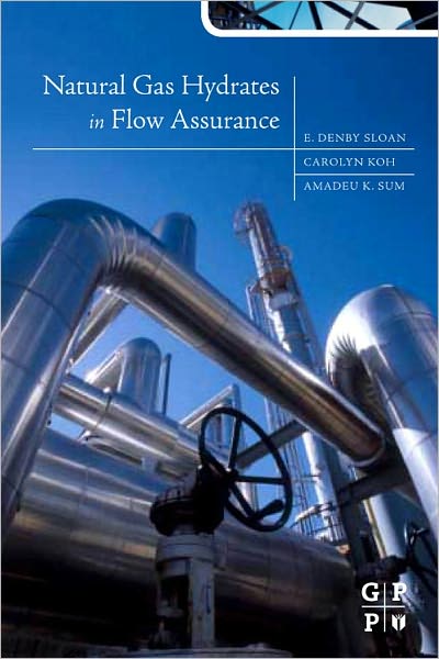 Natural Gas Hydrates in Flow Assurance