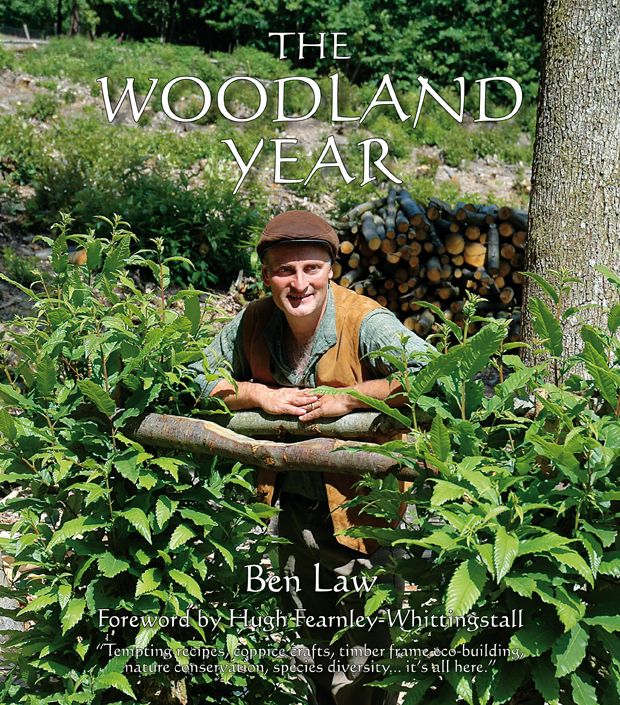 A Woodland Year