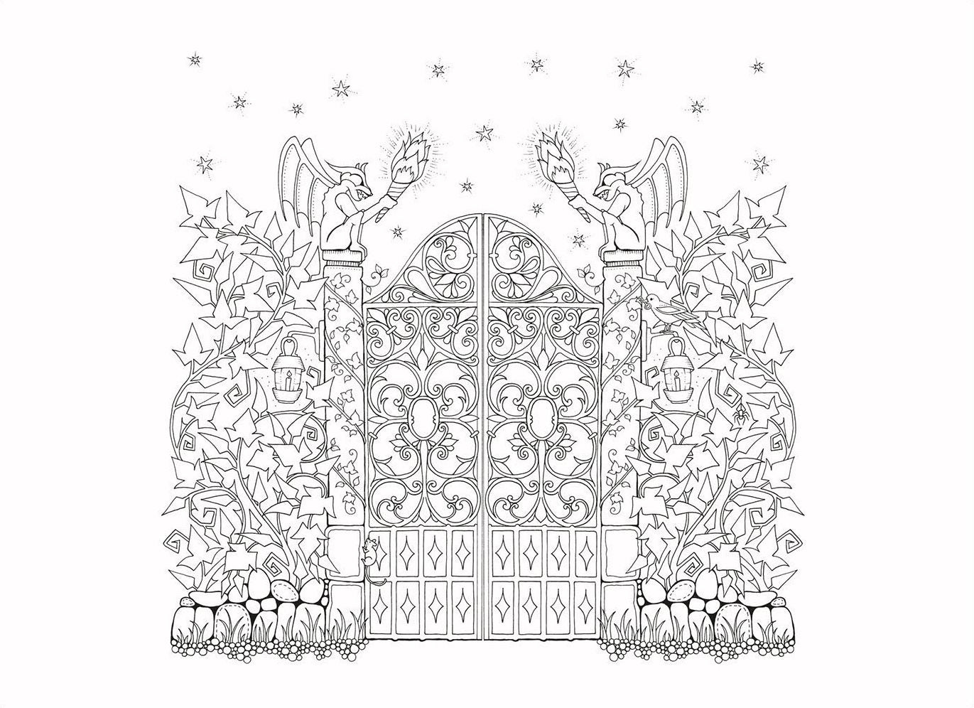 Enchanted Forest Postcards: Set of 20