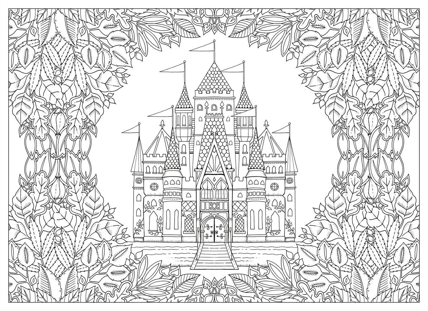 Enchanted Forest Postcards: Set of 20