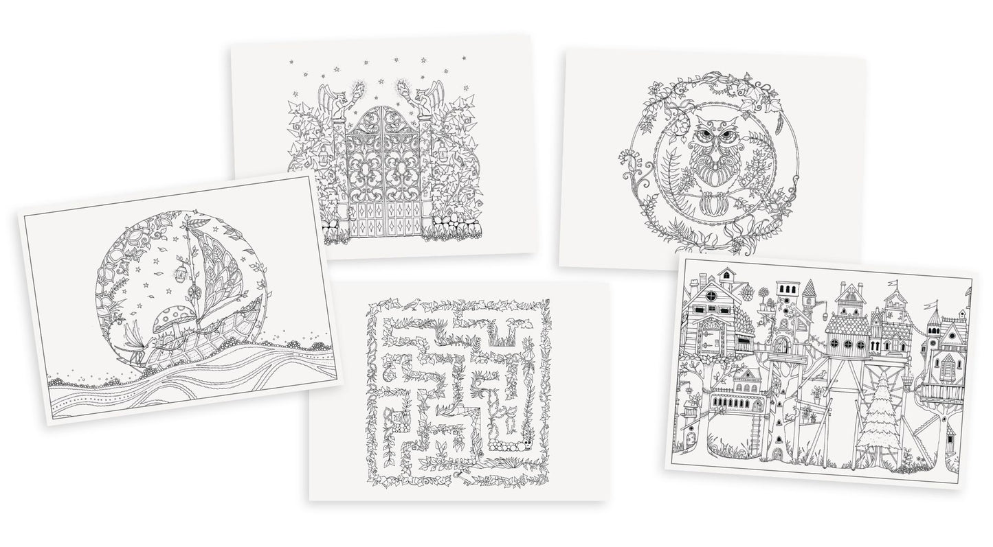 Enchanted Forest Postcards: Set of 20