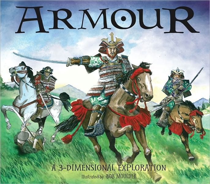 Armour: A 3-Dimensional Exploration