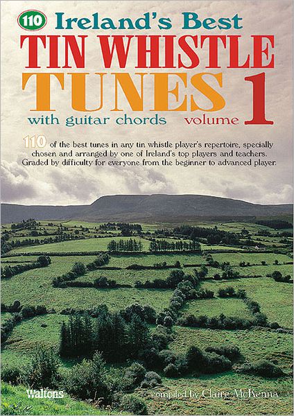 A Compete Guide to Learning The Irish Fiddle