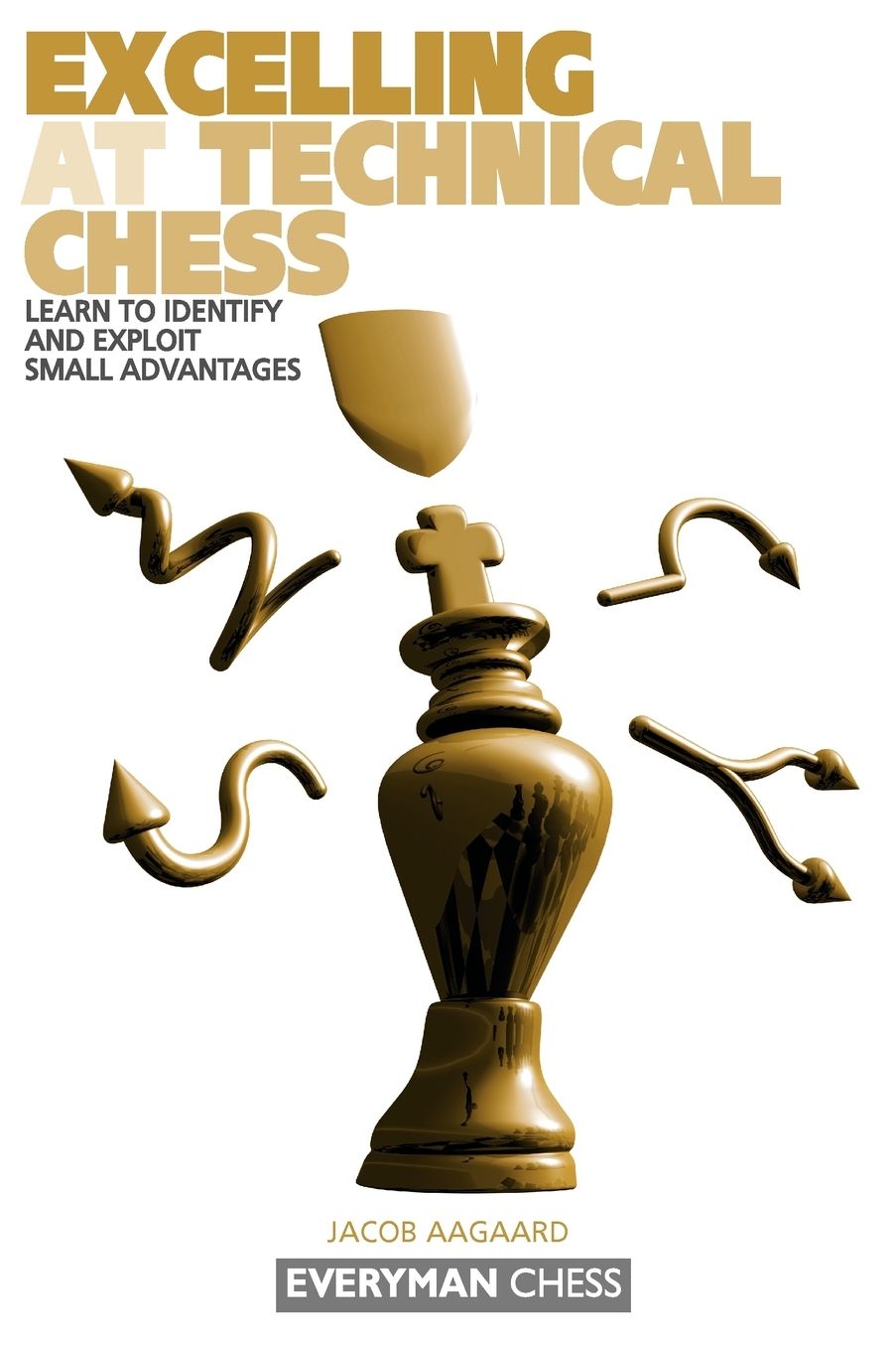 Excelling at Technical Chess (Everyman Chess Series)