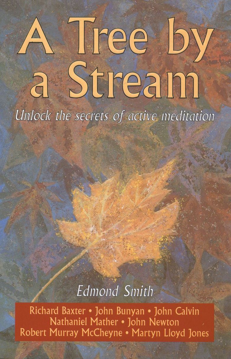 A Tree By a Stream: Unlock the secrets of active meditation