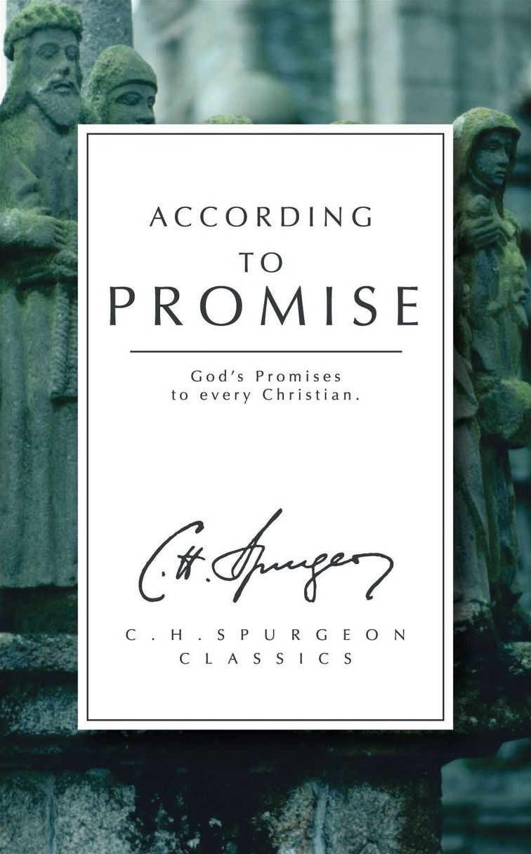 According To Promise: God's promise to every Christian