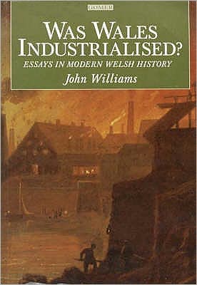 Was Wales Industrialised?: Essays in Modern Welsh History